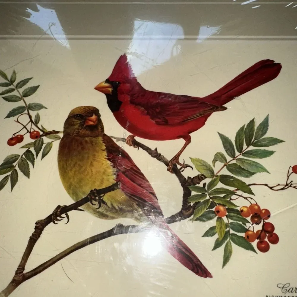 English Life  4 Cork Hard Backed Placemats- Cardinal - Songbirds Made In England
